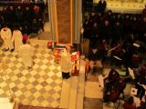 My Gallery (73/153)